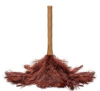 AVIAN COLOR FEATHER DUSTER. (Brown)