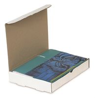 The Packaging Wholesalers 11-1/2 x 11-1/2 x 3-3/4 Inches Protective Literature Mailer, 50-Count (BSM11113)