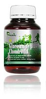 KAYAJ Glucosamine 1500mg Plus Chondroitin (60 Caps.) 金澳橙維骨素 1500 毫克 (60粒)