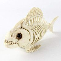 LXX Animal Skeleton Model - Fish Skeleton Haunted House Animal Skeleton Horror Bar Movie Props Halloween Ornament for Kids Toys Gift,Simulation Animal Fish Collector Decor Model