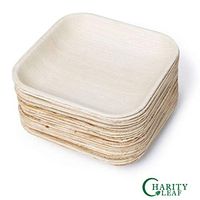 Charity Leaf 7" Disposable Palm Leaf Plate Bamboo Like Square Plates | All Natural, Biodegradable and Chemical Free | Weddings, BBQs, and Parties (Pack Of 25)