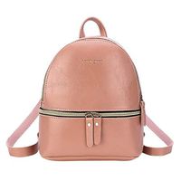 Lyperkin Double Shoulder Bag Fashion Lady Backpack Letter Purse Mobile Phone Messenger Bag Satchel Durable Laptops Backpack Casual Daypacks College School Computer Bag for Lady Womens N-53