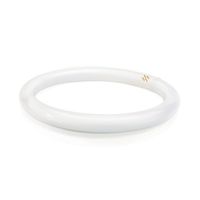 Philips 391177 Circline Fluorescent 32-Watt 12-Inch T9 Cool White Light Bulb