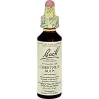Bach Flower Remedies Essences Chestnut Bud - 0.7 fl oz Bach Flower Remedies Essences Chestnut Bud -