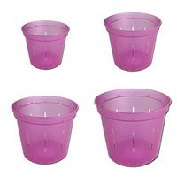 Slotted Clear Orchid Pots by rePotme - Growers Assortment (8 pots - 2 Each, Rose Quartz)