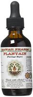 Plantain Alcohol-FREE Liquid Extract, Organic Plantain (Plantago major) Dried Leaf Glycerite Natural Herbal Supplement, Hawaii Pharm, USA 2 fl.oz