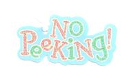 'No Peeking" Gift Tags w/String - 8 Pack