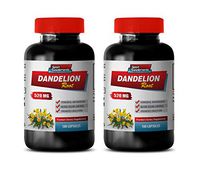 Digestion Support Supplements - Dandelion Root 520 MG - Premium Dietary Supplement - Dandelion Root Diuretic - 2 Bottles 360 Capsules