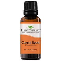Plant Therapy Carrot Seed Essential Oil 100% Pure, Undiluted, Natural Aromatherapy, Therapeutic Grade 30 mL (1 oz)