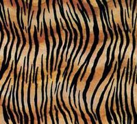 Tiger Stripe Tissue Paper for Gift Wrapping 20"x30" Sheets Animal Print Safari (5 ct)