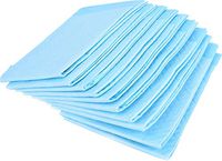 Large Disposable Incontinence Bed Pads 23 x 36 Inch (20 Count) - BrightCare High Absorbency Blue Hospital Bed and Chair Underpad Protection for Adult, Child, or Pets - Waterproof Chux