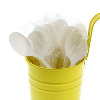 AmerCare Medium Weight Individually Wrapped Disposable White Soup Spoons, Case of 1000