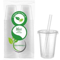 50 Count Eco Friendly Clear PLA Cups with Lids - Plasticless 16 Ounce Biodegradable Plastic Cups Made of Compostable Plant-Based PLA for to Go Cold Beverage