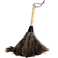 ZHANGY Spider Web Dust Collector - Ostrich Feather Wood Handle, Spider Web Dust Collector/Anti-Static Car/Home Dust Dirt Cleaning Tool