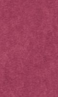 Red Wine Tissue Paper 20" x 30" 120 sheets