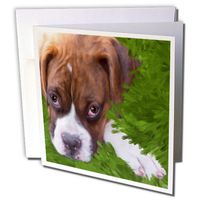 3dRose Boxer Puppy - Greeting Cards, 6 x 6 inches, set of 6 (gc_11978_1)