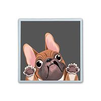 Contact Lens Box Holder Container Case Storage Eyecare Kit - Bulldog Cartoon