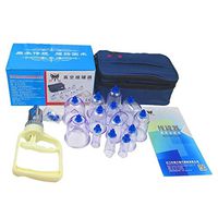 NIUNAI Vacuum Chinese Medical 13 Cups Body Cupping Set Acupressure Magnets Point Therapy Home Device