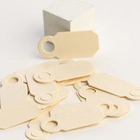 Factory Direct Craft Mini Blank Paper Tags | 600 Pieces