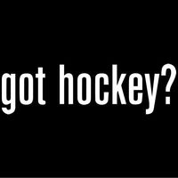 Got Hockey? Decal Sticker (White), Decal Sticker Vinyl Car Home Truck Window Laptop
