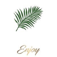 Enjoy Paper Guest Towel Set of 15-8 x 5 Inches