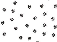 Animal Print Tissue Paper Paw Print - 120 Sheets