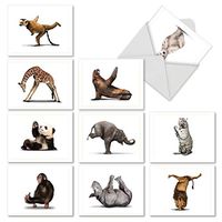 The Best Card Company - 10 Blank Yoga Note Cards Bulk (4 x 5.12 Inch) - Assorted Stick Figure and Animals Cards - Zoo Yoga M6547OCB