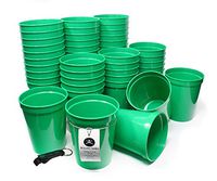 Rolling Sands 16 Ounce Reusable Plastic Stadium Cups Green, Bulk 50 Pack, Made in USA, BPA-Free Dishwasher Safe Plastic Tumblers and Bottle Opener