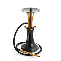 Cloud|Storm Mini (Black and Gold)