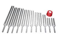 Radical 12 Pcs Mineral Nutrients Human Deficiency Tuning Forks with Mallet