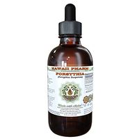 Forsythia Alcohol-Free Liquid Extract, Organic Forsythia (Forsythia Suspensa) Dried Fruit Glycerite Hawaii Pharm Natural Herbal Supplement 2 oz