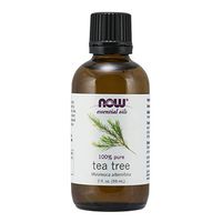 NOW Essential Oils, Tea Tree Oil, Cleansing Aromatherapy Scent, Steam Distilled, 100% Pure, Vegan, 2-Ounce
