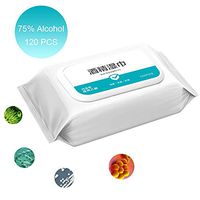 120 Count Multi-Surface Wet Wipes 99.9% Disinfection Disinfecting Cleaning Tissue Paper (1 Pack)
