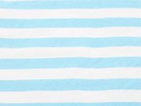 Anyneo Striped Blue Paper Beverage Napkins 60 Count