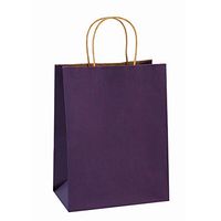 Gift Bags 8x4.25x10.5 Inches 25Pcs BagDream Paper Bags, Shopping Bags, Kraft Bags, Retail Bags, Merchandise Bags, Purple Stripes Paper Gift Bags with Handles