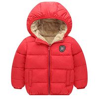 Kids Down Coat, Toddler Boys Girls Cotton Clothing Fleece Jacket Winter Outdoor Long Sleeve Warm Thick Hoodie Outwear (Red, 2-3 Years)
