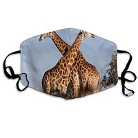 Face Mask Giraffe Ithala KZN South Africa Fabulous Cycling Half Face Earloop Dust Mask for Men