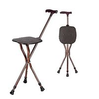 Walking Cane with Seat, 2-in-1 Folding Walking Stick Seat