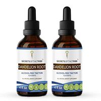 Dandelion Root Alcohol-Free Liquid Extract, Organic Dandelion (Taraxacum Officinale) Dried Root Tincture Supplement (2x4 FL OZ)