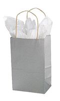 Small Metallic Silver Paper Shopping Bags 5 ¼”L x 3 ½”D x 8 ½”H Case of 100