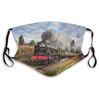 Nose Mouth Cover Train Art Anti Dust Reusable Face Covers