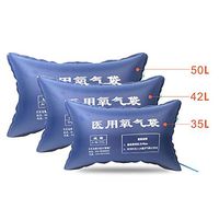 YBZS Emergency Oxygen Bag,1Pcs 42L Large Capacity/Family Elderly Pregnant Women Oxygen/Outdoor Emergency Oxygen Bag/Portable Oxygen Bag,42l