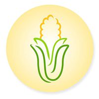 New Metro JO-CC Country Corn Silicone Jar Opener, 6-Inch