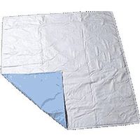 841970B - Salk Company CareFor Reusable Economy Underpad 23 x 36
