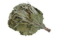 RuPost 3 pcs x Premium Eco Canadian Oak with Eucalyptus Broom for Bath and Sauna, Organic Aroma Canadian Oak with Eucalyptus Broom, Fresh Collection, Russian Broom