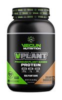 VPLANT Vegan Protein Powder – Plant Based Lean Muscle Building Shake | Best Pea + Sacha Inchi Protein – Best Lean Meal Shake for Men & Women, Nutritional Sports Drinks, Creamy Chocolate (25 Servings)