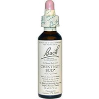 Chestnut bud 20 ML