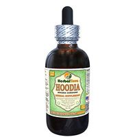 Hoodia (Hoodia Gordonii) Glycerite, Dried Plant Alcohol-Free Liquid Extract (Brand Name: HerbalTerra, Proudly Made in USA) 4 fl.oz (120 ml)