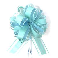 Allgala 12-pc 6" Large Everyday Pull Bows-Turquoise-GP92012