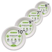 Mexago Eco-Friendly Round Compostable Plates - 10 inch | 100 Count - Natural Alternative to Paper Plate | Made of Sugarcane Bagasse